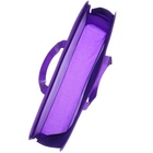 Папка пластиковая с ручками А4, на молнии, 8×33×24 см, «Холодное сердце» - Фото 2