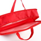 Папка пластиковая с ручками А4, на молнии, 8×33×24 см, «Человек-паук» - Фото 2