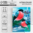 Алмазная мозаика на новый год с частичным заполнением на холсте «Снегири», 15×21 см, набор для творчества - Фото 1