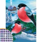 Алмазная мозаика на новый год с частичным заполнением на холсте «Снегири», 15×21 см, набор для творчества - Фото 2