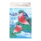 Алмазная мозаика на новый год с частичным заполнением на холсте «Снегири», 15×21 см, набор для творчества - Фото 5