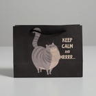 Пакет подарочный, упаковка, «Keep calm», 14,5 х 19,5 х 8,5 см 4783331 - фото 14600582
