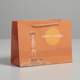 Пакет подарочный, упаковка, «Don not worry», 14,5 х 19,5 х 8,5 см