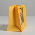 Пакет подарочный Let`s party, 14,5 × 19,5 × 8,5 см - фото 804353025