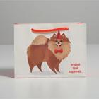 Пакет подарочный, упаковка, «Лучший подарочек», 14.5×19.5×8.5 см 4783338