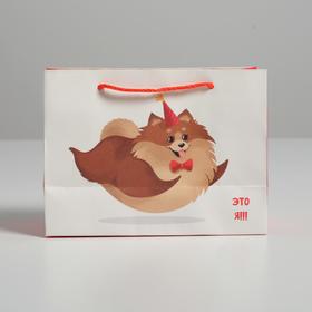 Пакет подарочный, упаковка, «Лучший подарочек», 14.5×19.5×8.5 см