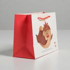 Пакет подарочный, упаковка, «Лучший подарочек», 14.5×19.5×8.5 см 4783338