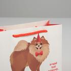 Пакет подарочный, упаковка, «Лучший подарочек», 14.5×19.5×8.5 см 4783338