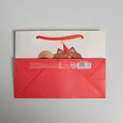 Пакет подарочный, упаковка, «Лучший подарочек», 14.5×19.5×8.5 см 4783338