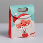 Пакет с клапаном «Дед Мороз», 12 х16 х 6 см. 5053299