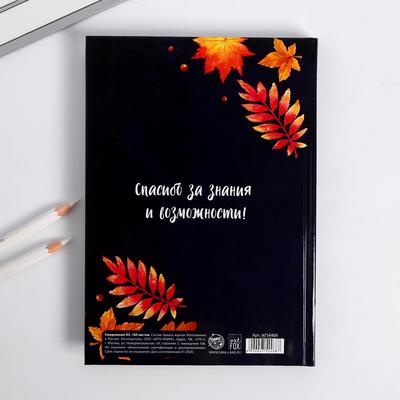 Набор в ящике «Самому лучшему учителю»: ежедневник А5 160 листов, планинг, мыло-шоколад, термостакан пластик 250 мл