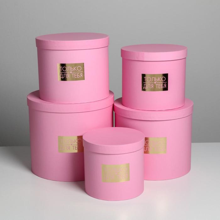 Набор шляпных коробок для цветов 5 в 1, упаковка подарочная, «Нежность», 14 х 13 см - 22 х 19,5 см - фото 1908602415