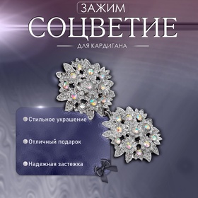 Зажим для кардигана «Соцветие», радужный в серебре 4981559