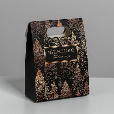 Пакет с клапаном «Чудесного Нового года», 12 х16 х 6 см.