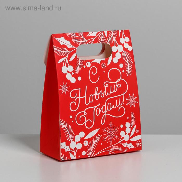 Пакет с клапаном «С Новым годом!», 12 х16 х 6 см.
