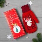 Женские варежки в подарочной коробке "Все сбудется" р.19 - Фото 1