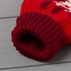 Женские варежки в подарочной коробке "Все сбудется" р.19 - Фото 4