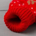 Варежки женские в подарочной коробке KAFTAN «Подарок», размер 19 - Фото 4