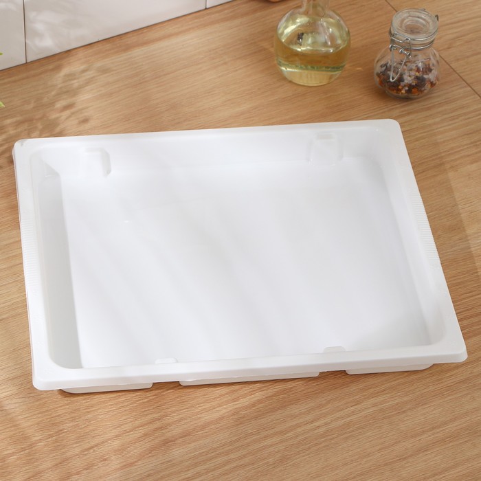 Поднос для заморозки Альтернатива, пластик, 36×31×3.5 см, белый - Фото 1
