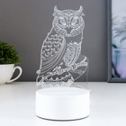 Светильник «Сова» LED RGB от сети - Фото 2