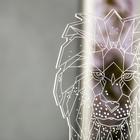 Светильник «Лев» LED RGB RISALUX - Фото 6