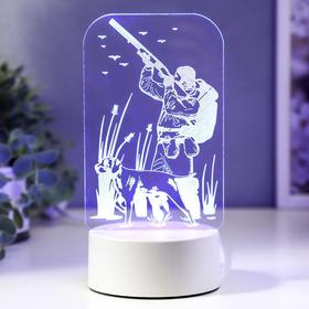 Светильник "Охотник" LED RGB от сети 9,5х10х19,5 см RISALUX 5074789