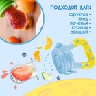 Ниблер для прикорма «Мишка принц» в наборе с силиконовыми сеточками 2шт - Фото 2