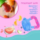 Ниблер для прикорма «ТРЕНД. Которусалка» в наборе с силиконовыми сеточками 2шт - Фото 2