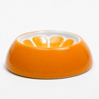 Миска керамическая для грызунов "Апельсинка" 30 мл 7,7 х 2,3 см - фото 9480572