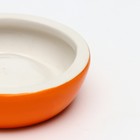 Миска керамическая для грызунов "Апельсинка" 30 мл 7,7 х 2,3 см - Фото 4