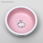 Миска керамическая для кроликов 200 мл  10 х 3,7 см, бело-розовая - фото 9073289