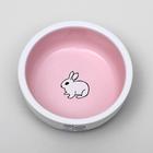 Миска керамическая для кроликов 200 мл  10 х 3,7 см, бело-розовая - фото 9480576