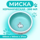 Миска керамическая для кроликов 200 мл  10 х 3,7 см, бело-зеленая - фото 3011545