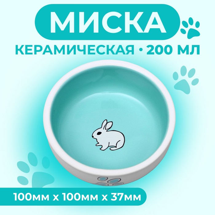 Миска керамическая для кроликов 200 мл  10 х 3,7 см, бело-зеленая - Фото 1