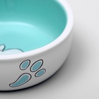 Миска для кроликов, 200 мл, 10×3.7 см, керамика, белая, зелёная - Фото 4