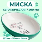 Блюдце керамическое «Милая киса» 200 мл 15.7×11.3×3.8 см, зеленая/белая - Фото 1