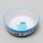 Миска керамическая «Кошачья жизнь» 300 мл 12.7×5 см, голубая - Фото 4