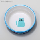 Миска керамическая «Кошачья жизнь» 300 мл 12.7×5 см, голубая - Фото 5