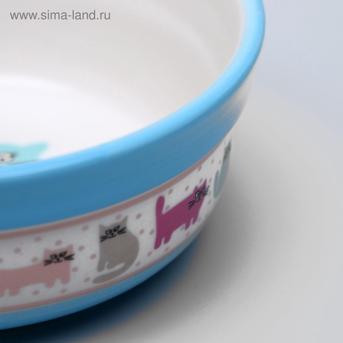 

Миска керамическая "Кошачья жизнь" 300 мл 12,7 х 5 см, голубая