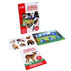 Развивающая игра на липучках «Изучаем мир лесных животных», методика Домана, с обучающими карточками по методике Глена Домана - Фото 2