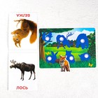 Развивающая игра на липучках «Изучаем мир лесных животных», методика Домана, с обучающими карточками по методике Глена Домана - Фото 4