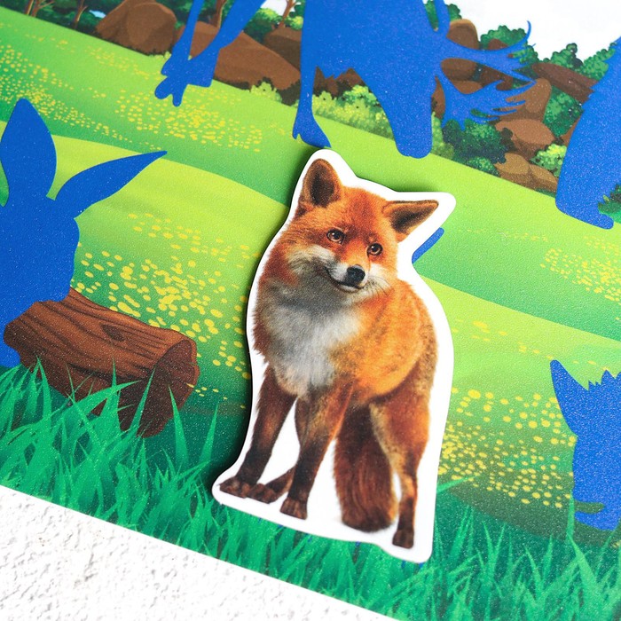 Игра на липучках «Изучаем мир лесных животных», методика Домана - фото 1905695976