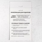 Развивающая игра на липучках «Изучаем мир лесных животных», методика Домана, с обучающими карточками по методике Глена Домана - Фото 6