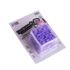 Головоломка «Сначала не понял», 4,5см МИКС,на блистере - фото 23305396