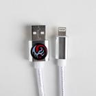 Набор кабель USB - Lightning и штекер «Мужской», 1 м - Фото 4