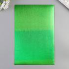 Фоамиран металлизированный "Зелёный" 2 мм формат А4 набор 5 листов - фото 6335016