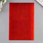 Фоамиран металлизированный "Красный" 2 мм формат А4 набор 5 листов - фото 6335026