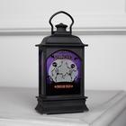 Светодиодная фигура «Фонарь с замком» 6×13×4 см, пластик, от батареек AG13×3, свечение тёплое белое - Фото 5