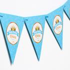 Гирлянда «Принц», 12 подвесок, цвет голубой - фото 41417266