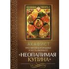 Акафист Пресвятой Богородице в честь иконы Ее «Неопалимая Купина» 5338377 - фото 9074492